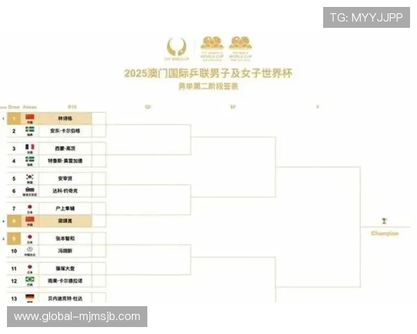 兵乓球世界杯每几年举办一次的比赛规则变化与影响分析