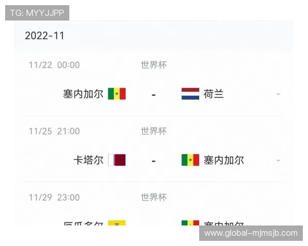 2026年世界杯法国对阵塞内加尔比赛中的安全保障与赛事组织相关问题汇总