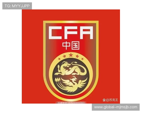 中国足球代表队在世界杯中的表现分析及未来发展战略建议