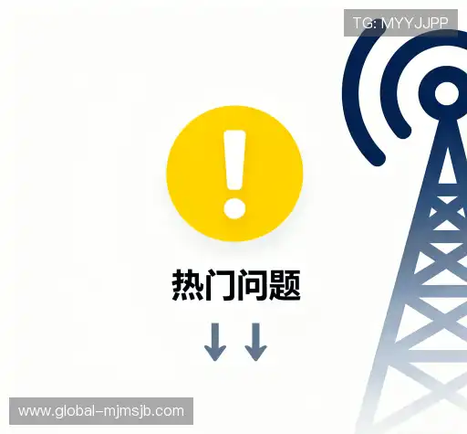 用户常见疑问